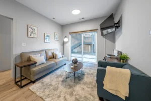 Modern living room with natural light