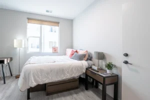 Cozy, modern bedroom with natural light.